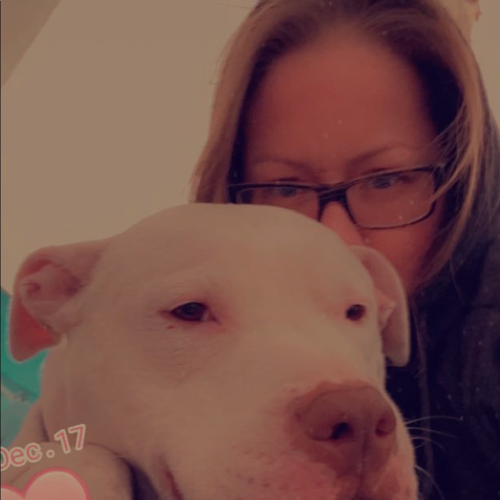 Meet your Posher, Dana